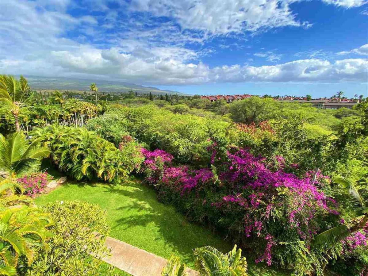 Penthouse 1 Bd King Suite With Ocean Views! Wailea  Luaran gambar